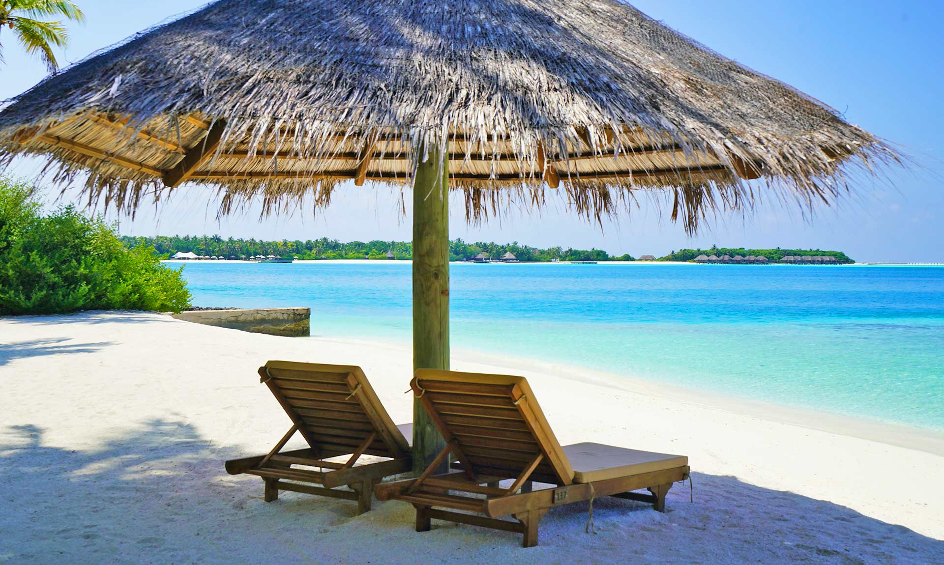 Lounge Chairs Under Thatched Umbrella at the Beach Lounge Chairs Under Thatched Umbrella at the Beach